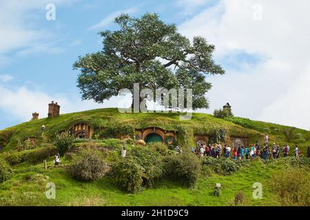 MATAMATA, NEUSEELAND - UM 2016: Filmset für den Herrn der Ringe und den Hobbit. Bilbo Baggins Haus mit der bemerkenswerten hohen Eiche darüber. G Stockfoto