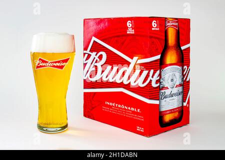 Ein isolierter Budweiser Biertöner und ein Sechs-Pack-Bier auf weißem Hintergrund Stockfoto