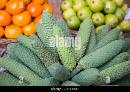 plant magic company Fast-Acting Soluble Plant Food