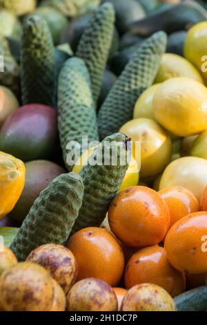 Tropische Frchte der Philodendron im Mercado dos Lavradores im  Stadtzentrum von Funchal auf der Insel Madeira in Portugal. Portugal,  Madeira, April Stockfotografie - Alamy
