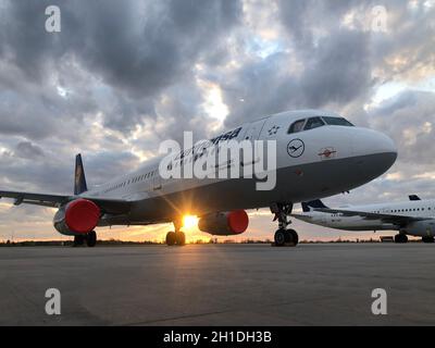 Am Flughafen Berlin-Brandenburg stehen immer mehr Flugzeuge an: Lufthansa parkt derzeit auf dem BER-Gelände ungenutzte Airbus 321 und Einen 320 airc Stockfoto