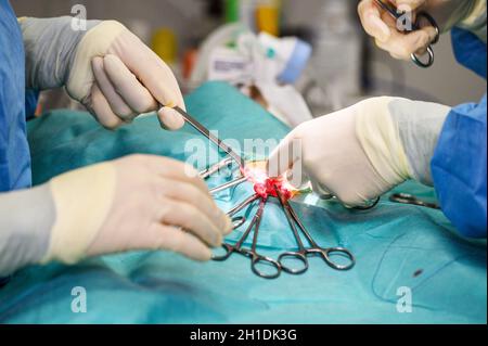 Nahaufnahme, Hände des professionellen Chirurgen, der operiert. Im Hintergrund Modern Hospital Operation Room . Stockfoto