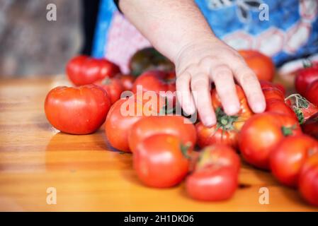 Schließen Sie herauf die Frau hand Auswählen Tomaten im ländlichen Markt. Stockfoto