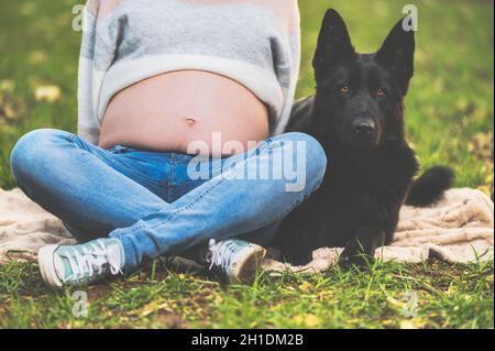 Schwangere Frau und ihr Hund spielen im Park. Stockfoto