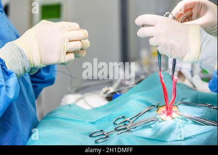 Nahaufnahme, Hände des professionellen Chirurgen, der operiert. Im Hintergrund Modern Hospital Operation Room . Stockfoto