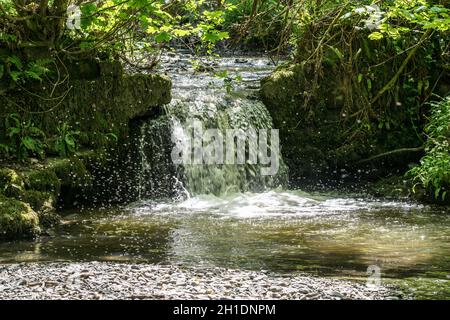 Wasserfall mit Zwergfliegen Stockfoto