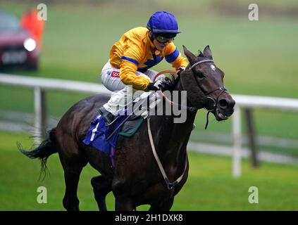 Hirsch Horn von Jockey Hollie Doyle gewinnt die Phil Bull Trophy Conditions Stakes auf der Pontefract Racecourse, West Yorkshire. Bilddatum: Montag, 18. Oktober 2021. Stockfoto