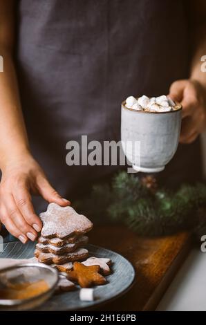 Heißer Kakao mit Salmmil und Lebkuchen in weiblichen Händen Stockfoto