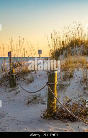 Sanddünen zum Erosionsschutz am Strand von Gulf Shores, Alabama Stockfoto