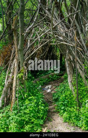 Ein Mann machte Unterschlupf mit Ästen im Wald. Geheimnisvoll und gruselig. Behelfsmäßige Hütte Stockfoto