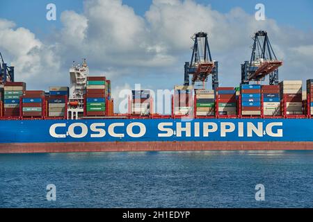 ROTTERDAM, NIEDERLANDE - UM 2019: Container werden von einem riesigen Frachtschiff im Euromax-Containerterminal des Rotterdamer Hafens entladen, Stockfoto