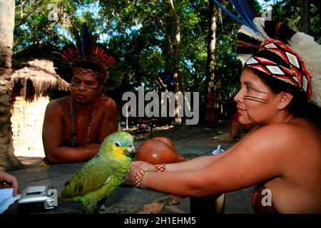 porto seguro, bahia / brasilien - 4. august 2008: In Aldeia Jaqueira, in der Stadt Porto S, werden die Ureinwohner von Pataxo zusammen mit einem Tierpapagei gesehen Stockfoto