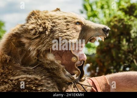 Alba Iulia, Rumänien - 04. Mai 2019: Roman Legionary Standartträger posiert während des Festivals Roman Apulum 'Revolta'. Stockfoto