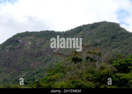 porto Seguro, bahia / brasilien - 20. oktober 2014: Blick auf Monte Pascoal, im Nationalpark Monte Pascoal in der Gemeinde Porto Seguro gelegen Stockfoto