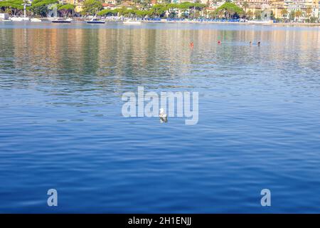 Das Meer und der Strand in der Stadt Rapallo in Ligurien, Italien. Stockfoto