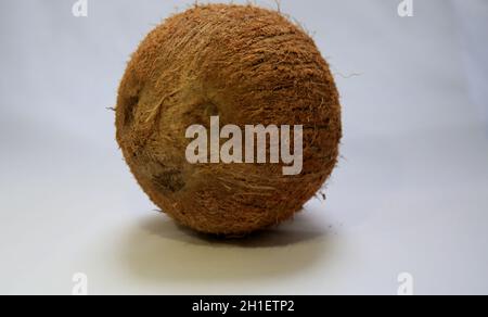 salvador, bahia / brasilien - 19. Mai 2020: Trockene Kokosnuss. *** Ortsüberschrift *** Stockfoto