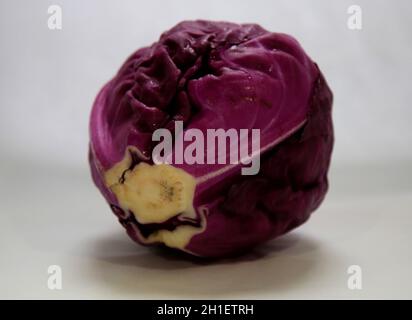 salvador, bahia / brasilien - 19. Mai 2020: Purpurkohl. *** Ortsüberschrift *** Stockfoto