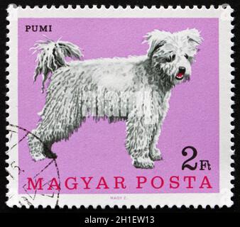 UNGARN - UM 1967: Eine in Ungarn gedruckte Marke zeigt Pumi, Ungarischer Schafhund, um 1967 Stockfoto