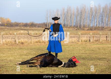 HORTOBAGY, UNGARN, NOVEMBER 04. 2018: Ungarische Csikos in traditioneller Tracht zeigen sein ausgebildetes Pferd. Traditioneller Pferdeherber von Hung Stockfoto