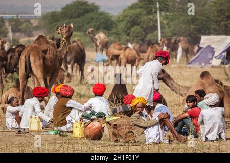 PUSHKAR, INDIEN - 20. NOVEMBER 2012: Indische Männer und Kamele auf der Pushkar Kamelmesse (Pushkar Mela) - jährliche fünftägige Kamel- und Viehmesse, eine der Stockfoto