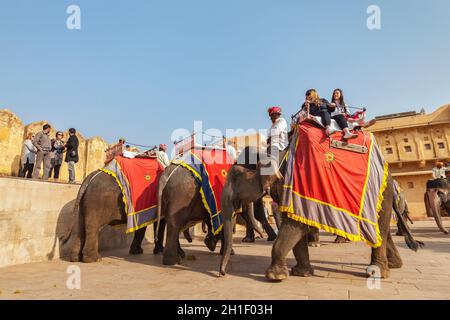 JAIPUR, INDIEN - 18. NOVEMBER 2012: Touristen reiten Elefanten in Amber Fort, Rajasthan, Elefantenritt ist eine beliebte Unterhaltung für Touristen in Indien Stockfoto