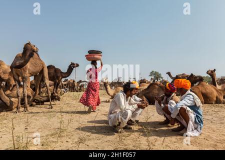PUSHKAR, INDIEN - 20. NOVEMBER 2012: Indische Männer und Frauen und Kamele auf dem Kamelmarkt Pushkar (Pushkar Mela) - jährliche fünftägige Kamel- und Viehmesse, Stockfoto