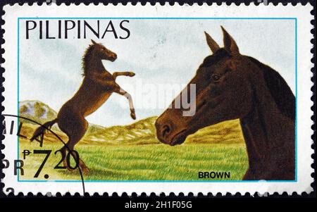 PHILIPPINEN - UM 1984: Eine auf den Philippinen gedruckte Marke zeigt braune, philippinische Pferde, um 1984 Stockfoto