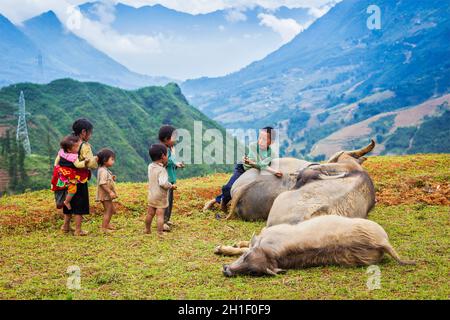 SAPA, VIETNAM - 10. JUNI 2011: Unbekannte vietnamesische Kinder mit Büffeln im Dorf Ta Van. Obwohl die Wachstumsrate Vietnams zu den h gehört Stockfoto