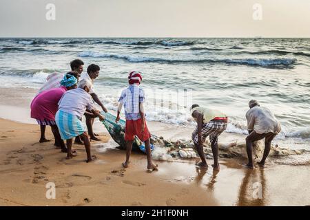 CHENNAI, INDIEN - 10. FEBRUAR 2013: Indische Fischer ziehen Fischernetz mit ihrem Fang aus dem Meer auf Marina Beach, Chennai, Tamil Nadu Stockfoto