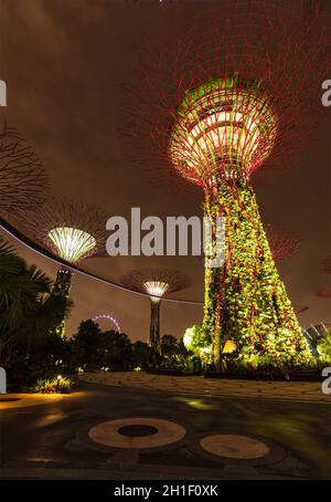 SINGAPUR - 31. DEZEMBER 2013: Nachtansicht des Supertree Grove in Gardens by the Bay. Der futuristische Park mit einer Fläche von 101 Hektar soll Singapurs erste Adresse werden Stockfoto