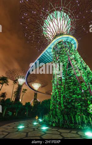 SINGAPUR - 31. DEZEMBER 2013: Nachtansicht des Supertree Grove in Gardens by the Bay. Der futuristische Park mit einer Fläche von 101 Hektar soll Singapurs erste Adresse werden Stockfoto