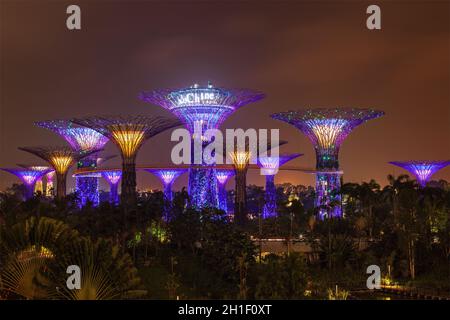 SINGAPUR - 31. DEZEMBER 2013: Nachtansicht des Supertree Grove in Gardens by the Bay. Der futuristische Park mit einer Fläche von 101 Hektar soll Singapurs erste Adresse werden Stockfoto