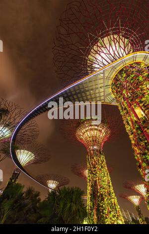 SINGAPUR - 31. DEZEMBER 2013: Nachtansicht des Supertree Grove in Gardens by the Bay. Der futuristische Park mit einer Fläche von 101 Hektar soll Singapurs erste Adresse werden Stockfoto