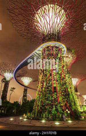 SINGAPUR - 31. DEZEMBER 2013: Nachtansicht des Supertree Grove in Gardens by the Bay. Der futuristische Park mit einer Fläche von 101 Hektar soll Singapurs erste Adresse werden Stockfoto