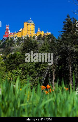 SINTRA, PORTUGAL - MAI, 2018: Der Pena-Palast von den Gärten des Pena-Parks in der Gemeinde Sintra aus gesehen Stockfoto