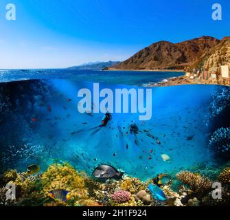 Scuba Diver über den Unterwasser-Canyon am blauen Loch in Dahab, Ägypten. Collage mit Korallen und Fischen Stockfoto