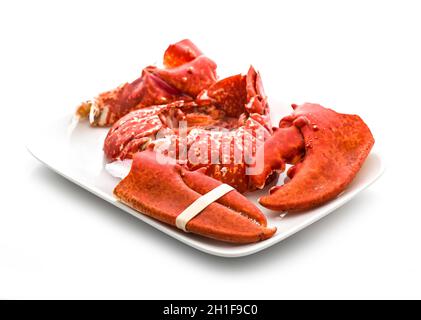Klauen und Schweif eines gekocht europäischen gemeinsamen Hummers isoliert auf einem weißen Studio-Hintergrund. Stockfoto