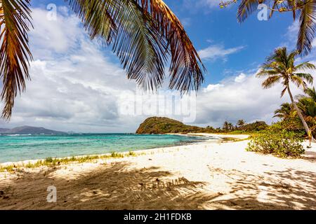 Palmenschatten, Blick auf den ruhigen Strand, türkisfarbenes Karibisches Meer, sanfte Wellen und Palmen, mit blauem Himmel. Palm Island, St. Vincent und Grenadinen Stockfoto