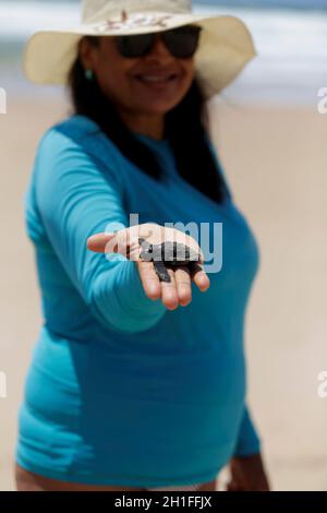 salvador, bahia / brasilien - 12. oktober 2019: Person, die Babyschildkröte aufgrund von Ölverschmutzungen am Strand von Ipitanga in Lauro de Freitas tot hält. Stockfoto