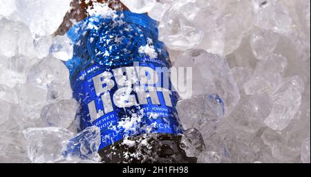 POSEN, POL - 22. MAI 2020: Flasche Bud Light Beer, ein amerikanisches Leichtbier, hergestellt von Anheuser-Busch, eingeführt 1982. Stockfoto