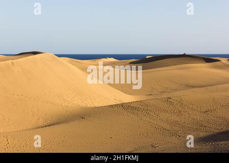 Herrliche Aussicht auf Maspalomas Sanddünen mit blauem Ozean im Hintergrund auf Gran Canaria, Spanien. Wellige Formen an einem berühmten Touristenziel Stockfoto