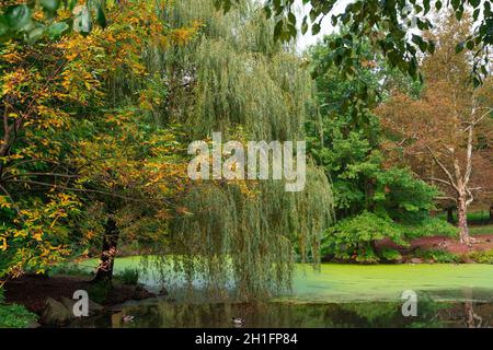 Wunderschöne Aussicht vom Central Park, New York City Manhattan Stockfoto
