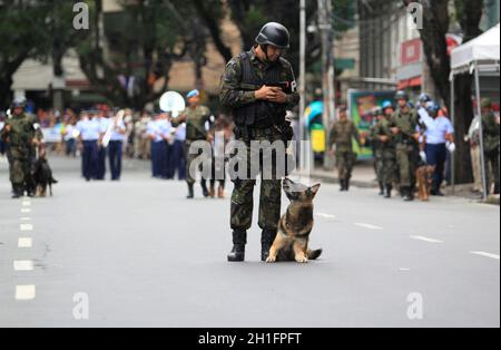 salvador, bahia / brasilien - 7. september 2014: Dog folgt während einer Militärparade dem Befehl des Soldaten, um an den Tag der brasilianischen Inder zu erinnern Stockfoto