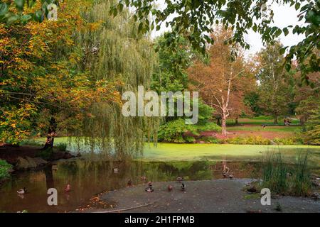 New York City - 16. Oktober 2021: Panoramablick vom Central Park in Manhattan mit Ententeich und Menschen sichtbar Stockfoto