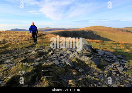 Walker auf dem Gipfelsturm von Bannerdale Crags Fell, Lake District National Park, Cumbria, England Stockfoto