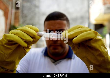 salvador, bahia/brasilien - 5. Juli 2019: Gesundheitsagent sammelt eine Probe der Aedes aegypti-Moskitogarve während einer Untersuchung von Immobilien in der Nachbarschaft Stockfoto