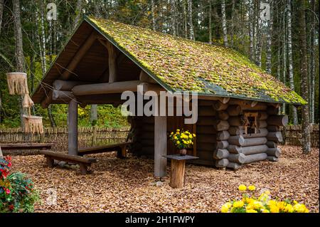 Kleines mystisches Holzhaus im Herbstwald, Tervete, Lettland Stockfoto
