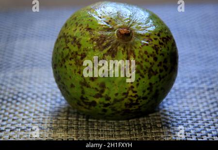 salvador, bahia / brasilien - 15. juni 2020: Ganze Avocado-Früchte werden in der Küche in der Stadt Salvador gesehen. *** Ortsüberschrift *** . Stockfoto