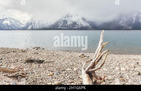 See im Grand Teton National Park an einem bewölkten Tag, Wyoming, USA. Stockfoto