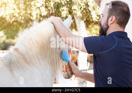 Ein bärtiger kaukasischer Mann putzt die Mähne seines weißen Pferdes mit einem blauen Pinsel. Im Hintergrund befinden sich Bäume, die nicht im Fokus stehen. Stockfoto